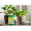 image:imageMiracleGro Indoor Plant Food Spikes Includes 24 Spikes  Continuous Feeding for all Flowering and Foliage Houseplants  NPK 61261 Pack