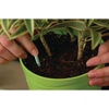 image:imageMiracleGro Indoor Plant Food Spikes Includes 24 Spikes  Continuous Feeding for all Flowering and Foliage Houseplants  NPK 61261 Pack