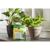 image:imageMiracleGro Indoor Plant Food Spikes Includes 24 Spikes  Continuous Feeding for all Flowering and Foliage Houseplants  NPK 6126Case Pack