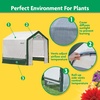 image:imageMiracleGRO 6 x 8 x 6 Outdoor Mini Walkin Greenhouse Plant Tent AllSeason Small Walkin Plant Growth Accelerator with UVTreated Fabric Cover and Zippered Panels Clear6 x 6 x 6  2025 Model