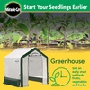 image:imageMiracleGRO 6 x 8 x 6 Outdoor Mini Walkin Greenhouse Plant Tent AllSeason Small Walkin Plant Growth Accelerator with UVTreated Fabric Cover and Zippered Panels Clear6 x 4 x 6  2025 Model