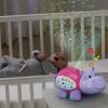 imageVTech Baby Lil Critters Soothing Starlight Hippo PinkPink