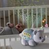 imageVTech Baby Lil Critters Soothing Starlight Polar Bear Nursery Projector