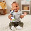imageVTech Baby Rattling Rain Stick Zebra