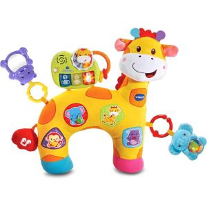 imageVTech Tummy Time Discovery Pillow