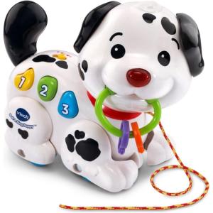 imageVTech Pull and Sing Puppy