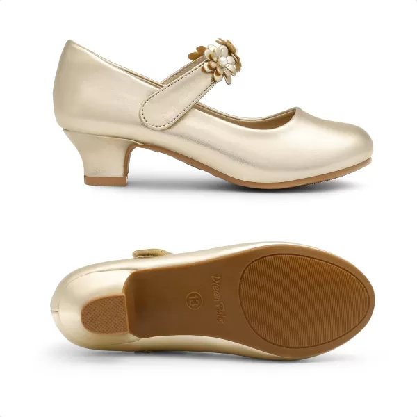 imageDREAM PAIRS Girls Mary Jane Dress Shoes Pumps Low Heels Flower Party Wedding PrincessGold