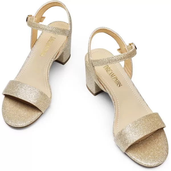 imageDREAM PAIRS Womens Low Heels Block Open Toe Ankle Strap Classic Short Chunky Sandals with Buckle for Daily Work Wedding PartyGoldglitter