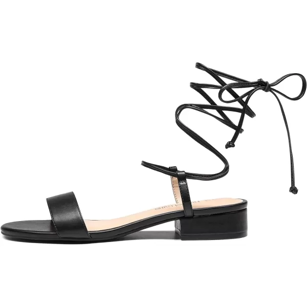 imageDREAM PAIRS Womens Low Heels for Women Strappy Lace Up Open Toe Block Chunky Heel Sandals Summer Holiday Party Wedding Dress Pumps ShoesBlack