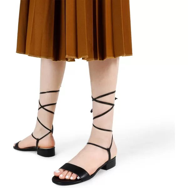 imageDREAM PAIRS Womens Low Heels for Women Strappy Lace Up Open Toe Block Chunky Heel Sandals Summer Holiday Party Wedding Dress Pumps ShoesBlack