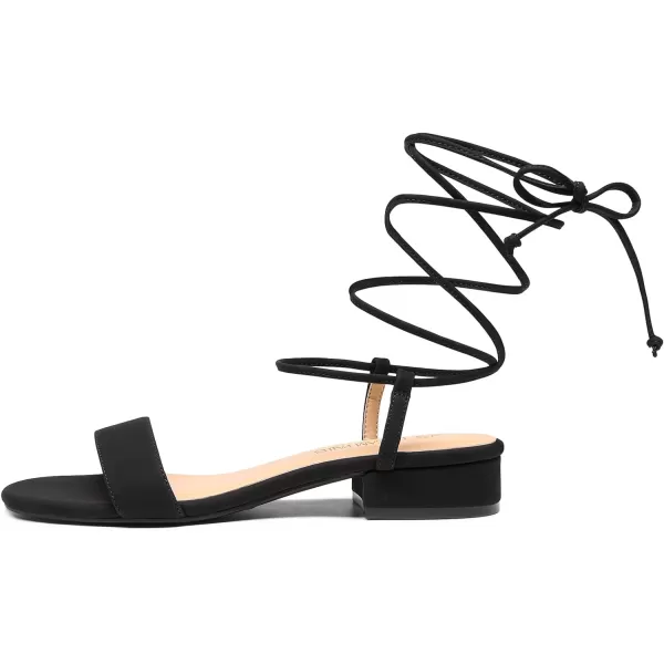 imageDREAM PAIRS Womens Low Heels for Women Strappy Lace Up Open Toe Block Chunky Heel Sandals Summer Holiday Party Wedding Dress Pumps ShoesBlacknubuck