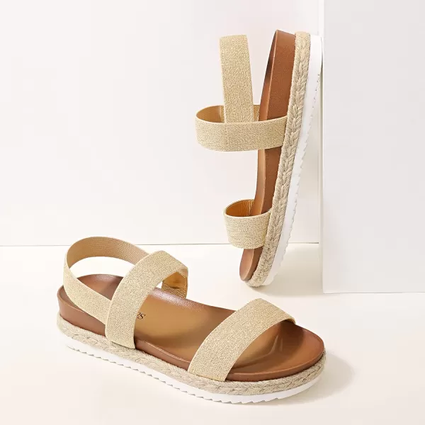 imageDREAM PAIRS Womens Open Toe Espadrille Platform SandalsGold