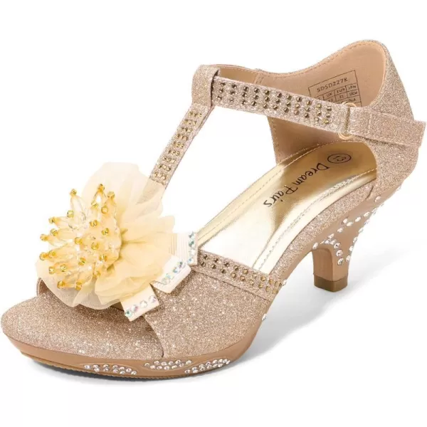imageDREAM PAIRS Girls Sandals Low Heel Dress Pump Ankle T Strap Flower Shoes ToddlerLittle KidBig KidGold