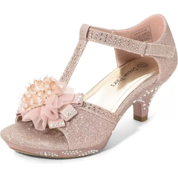 imageDREAM PAIRS Girls Sandals Low Heel Dress Pump Ankle T Strap Flower Shoes ToddlerLittle KidBig KidRoseGold