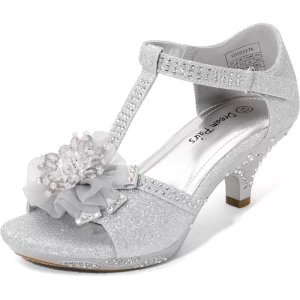 imageDREAM PAIRS Girls Sandals Low Heel Dress Pump Ankle T Strap Flower Shoes ToddlerLittle KidBig KidSilver