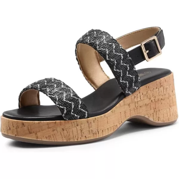 imageDREAM PAIRS Women Comfy Wedge Sandals Open Toe Dressy Casual Buckle Ankle Strap Raffia Platform Sandals for Summer TravelBlackraffia