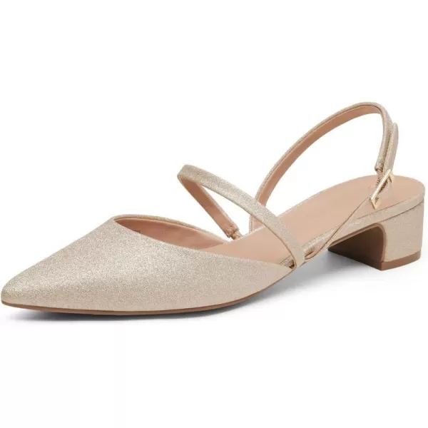 imageDREAM PAIRS Womens Pumps Chunky Closed Toe Low Block Heels Strappy Buckle Pointed Toe Slingback Dress Wedding Party ShoesGold
