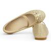 imageDREAM PAIRS Girls Ballet Flats Flower Shoes Mary Jane Ballerina Flat Dress Shoes for DailyWeddingPartyGoldGlitter