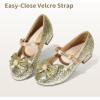 imageDREAM PAIRS Girls Dress Shoes Princess Shoes for Toddler Little Girl Mary Jane Low Heels Glitter Flower Party Wedding FootwearGold