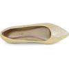 imageDREAM PAIRS Womens Dress Pointed Toe Flats Ballet Comfort Soft Slip On Casual Flat Shoes for Work Office BusinessGoldGlitter