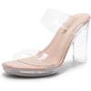 imageDREAM PAIRS Womens Clear Two Strap Open Toe High Block Chunky Slip on Dress Heel SandalsNudeCleartpu