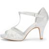 imageDREAM PAIRS Womens Fashion Stilettos Open Toe Pump Heel SandalsSilver2