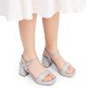 imageDREAM PAIRS Girls Sandals Open Toe Low Block Chunky Heels Sandals Party Dress Pumps Shoes for Little Big KidSilverglitter