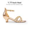 imageDREAM PAIRS Girls Dress Shoes Sandals Low Heels Ankle Strap Flower Wedding Party Shoes for Little KidBig KidChampagne