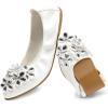 imageDREAM PAIRS Ballet Flats Shoes for Women Womens Pointed Toe Rhinestone Sparkly Foldable Flats Comfortable Shoes for Women Dressy Wedding Party Work DriveWhitepu