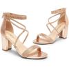 imageDREAM PAIRS Womens Chunk Low Heel Pump SandalsChampagnepu