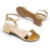 imageDREAM PAIRS Women Black White Nude Clear Sandals Low Heel Dressy Sandals Ankle Strap Open Toe Chunky Block Heeled Summer Classic Comfortable Flat ShoesGold
