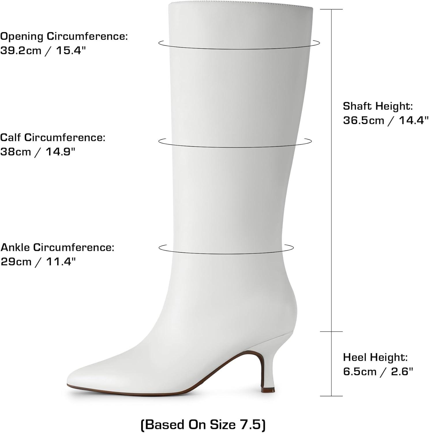 imageDREAM PAIRS Womens Knee High Kitten Heel Boots Sexy Pointed Toe Fashion Long Tall BootsWhite