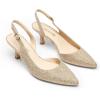 imageDREAM PAIRS Womens Kitten Heel Slingback Pointed Closed Toe Low Stiletto Heels Dress Bridal Elegant Wedding Pumps ShoesGoldglitter