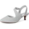 imageDREAM PAIRS Kitten Heels for Women Closed Toe Pointed Toe Low Heel Strappy Pumps Party Dance Wedding Dress Shoes for WomenSilver