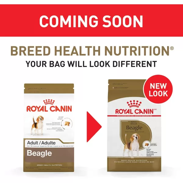 imageRoyal Canin Beagle Adult Dry Dog Food 30 lb bag6 Pound Pack of 1
