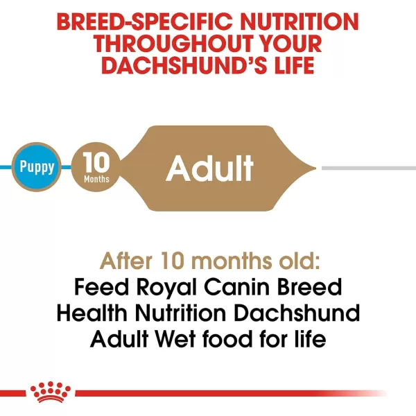 imageRoyal Canin Breed Health Nutrition Dachshund Adult Loaf in Sauce Canned Dog Food 3 oz Pack of 243 Ounce Pack of 24 Loaf in Sauce