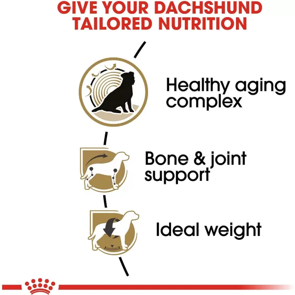 imageRoyal Canin Breed Health Nutrition Dachshund Teckel 8 Adult Dry Dog Food 3 lb bagRoyal Canin Breed Health Nutrition Dachshund Teckel 8 Adult Dry Dog Food 3 lb bag