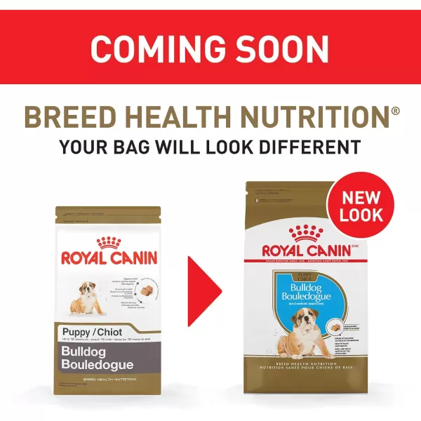imageRoyal Canin Bulldog Puppy Dry Dog Food 30 lb bag30 Pound Pack of 1