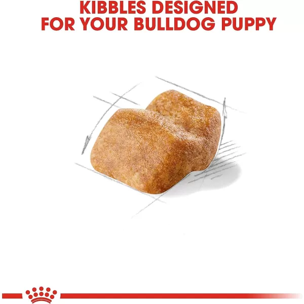 imageRoyal Canin Bulldog Puppy Dry Dog Food 30 lb bag30 Pound Pack of 1