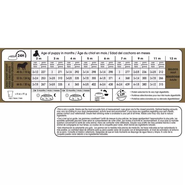 imageRoyal Canin Bulldog Puppy Dry Dog Food 30 lb bag30 Pound Pack of 1