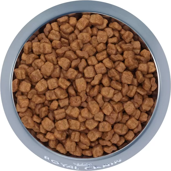 imageRoyal Canin Bulldog Puppy Dry Dog Food 30 lb bag30 Pound Pack of 1