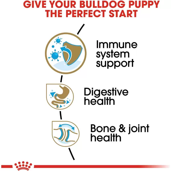 imageRoyal Canin Bulldog Puppy Dry Dog Food 30 lb bag6 Pound Pack of 1