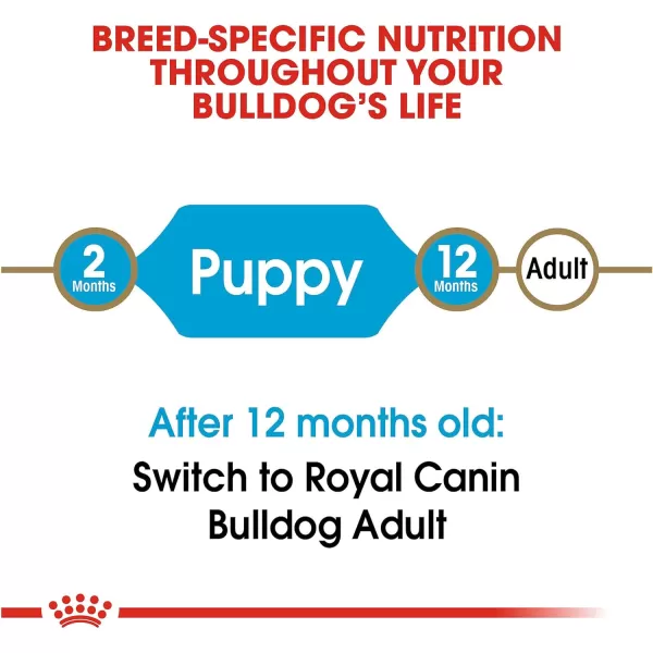 imageRoyal Canin Bulldog Puppy Dry Dog Food 30 lb bag6 Pound Pack of 1