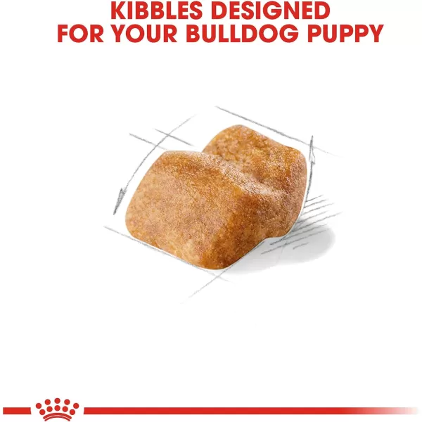 imageRoyal Canin Bulldog Puppy Dry Dog Food 30 lb bag6 Pound Pack of 1