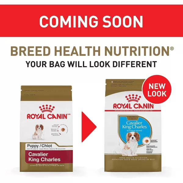 imageRoyal Canin Cavalier King Charles Spaniel Puppy Breed Specific Dry Dog Food 3 lb bagRoyal Canin Cavalier King Charles Spaniel Puppy Breed Specific Dry Dog Food 3 lb bag