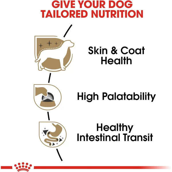 imageRoyal Canin Chihuahua Adult Canned Dog Food 3 oz canRoyal Canin Chihuahua Adult Canned Dog Food 3 oz can