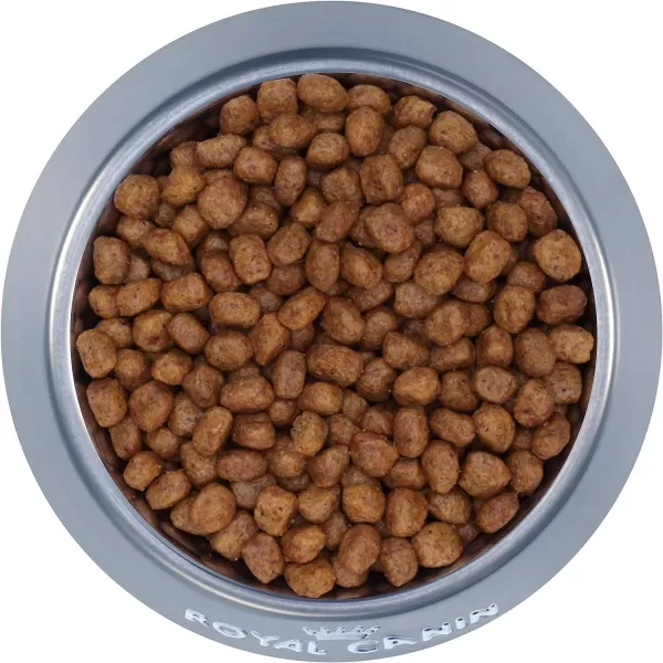 imageRoyal Canin Chihuahua Adult Dry Dog Food 10 lb bag10 Pound Pack of 1 Adult
