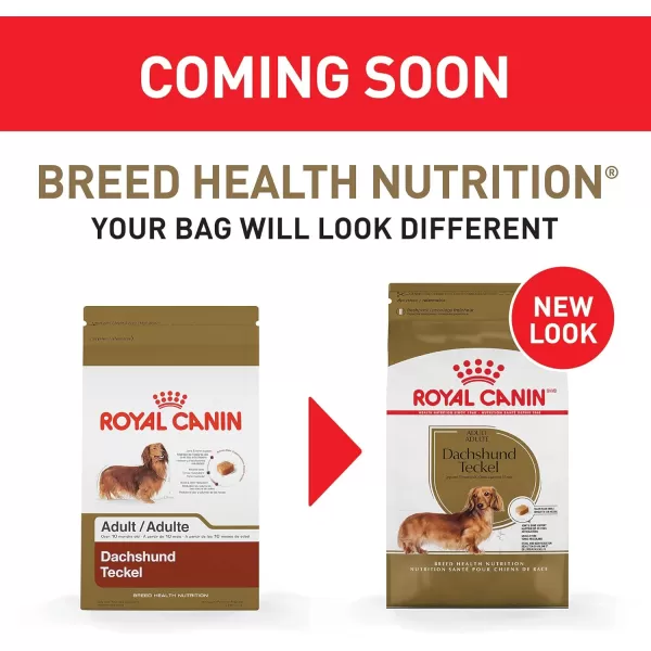 imageRoyal Canin Dachshund Adult Breed Specific Dry Dog Food 10 lb bagRoyal Canin Dachshund Adult Breed Specific Dry Dog Food 10 lb bag