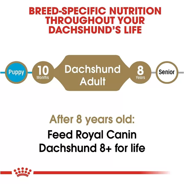 imageRoyal Canin Dachshund Adult Breed Specific Dry Dog Food 10 lb bagRoyal Canin Dachshund Adult Breed Specific Dry Dog Food 10 lb bag