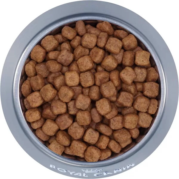 imageRoyal Canin Dachshund Adult Breed Specific Dry Dog Food 25 lb bagRoyal Canin Dachshund Adult Breed Specific Dry Dog Food 25 lb bag
